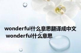 wonderful什么意思翻译成中文 wonderful什么意思 