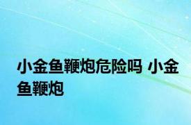 小金鱼鞭炮危险吗 小金鱼鞭炮 