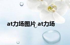 at力场图片 at力场 