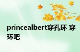 princealbert穿孔环 穿环吧 