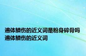 遍体鳞伤的近义词是粉身碎骨吗 遍体鳞伤的近义词 