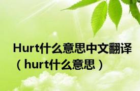 Hurt什么意思中文翻译（hurt什么意思）
