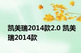 凯美瑞2014款2.0 凯美瑞2014款 
