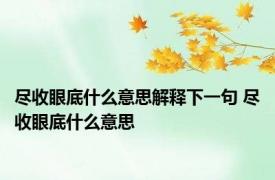 尽收眼底什么意思解释下一句 尽收眼底什么意思 