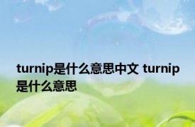 turnip是什么意思中文 turnip是什么意思 