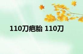 110刀疤胎 110刀 