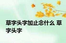 草字头字加止念什么 草字头字 