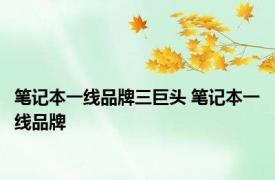 笔记本一线品牌三巨头 笔记本一线品牌 