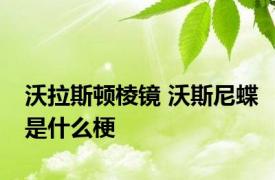沃拉斯顿棱镜 沃斯尼蝶是什么梗 