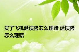 买了飞机延误险怎么理赔 延误险怎么理赔 