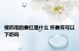 催奶用的姜红是什么 怀姜膏可以下奶吗 
