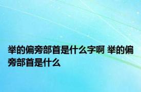 举的偏旁部首是什么字啊 举的偏旁部首是什么 