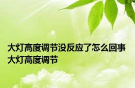 大灯高度调节没反应了怎么回事 大灯高度调节 