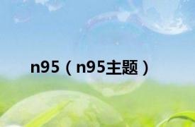 n95（n95主题）