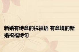 新婚有诗意的祝福语 有意境的新婚祝福诗句 