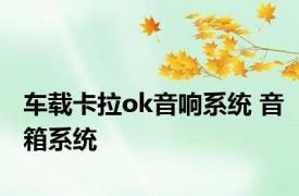 车载卡拉ok音响系统 音箱系统 