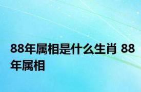 88年属相是什么生肖 88年属相 