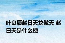 叶良辰赵日天龙傲天 赵日天是什么梗