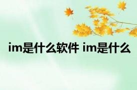 im是什么软件 im是什么 