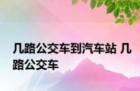 几路公交车到汽车站 几路公交车 