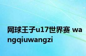 网球王子u17世界赛 wangqiuwangzi 
