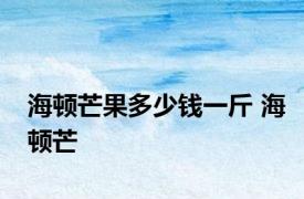 海顿芒果多少钱一斤 海顿芒 