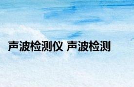 声波检测仪 声波检测 