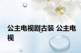 公主电视剧古装 公主电视 