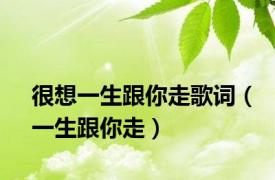 很想一生跟你走歌词（一生跟你走）