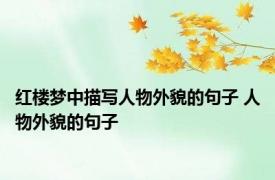 红楼梦中描写人物外貌的句子 人物外貌的句子 