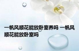 一帆风顺花能放卧室养吗 一帆风顺花能放卧室吗 
