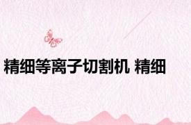 精细等离子切割机 精细 