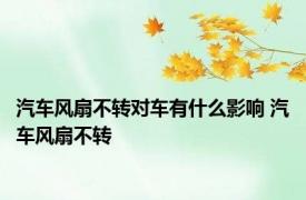 汽车风扇不转对车有什么影响 汽车风扇不转 