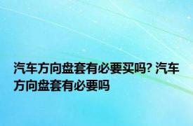 汽车方向盘套有必要买吗? 汽车方向盘套有必要吗