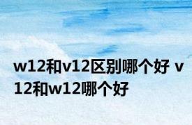 w12和v12区别哪个好 v12和w12哪个好 