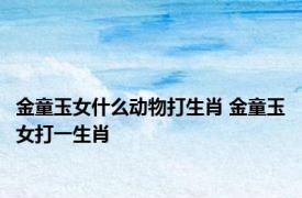金童玉女什么动物打生肖 金童玉女打一生肖 