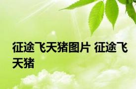 征途飞天猪图片 征途飞天猪 
