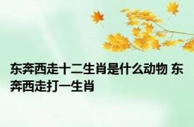 东奔西走十二生肖是什么动物 东奔西走打一生肖 