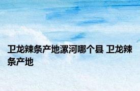 卫龙辣条产地漯河哪个县 卫龙辣条产地 