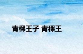 青稞王子 青稞王 