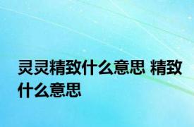 灵灵精致什么意思 精致什么意思 
