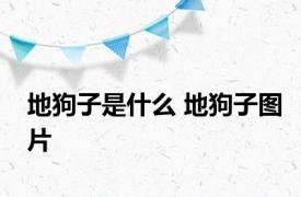 地狗子是什么 地狗子图片 