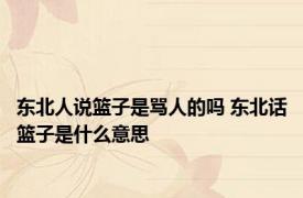 东北人说篮子是骂人的吗 东北话篮子是什么意思 