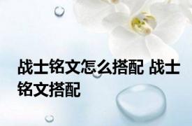 战士铭文怎么搭配 战士铭文搭配 