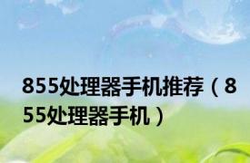 855处理器手机推荐（855处理器手机）