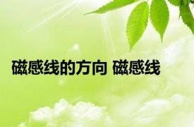磁感线的方向 磁感线 
