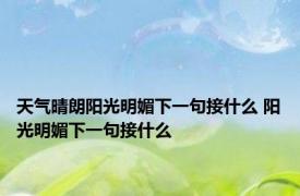 天气晴朗阳光明媚下一句接什么 阳光明媚下一句接什么 