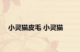 小灵猫皮毛 小灵猫 