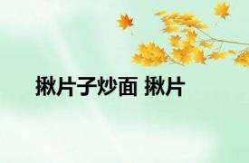 揪片子炒面 揪片 