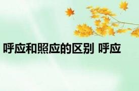 呼应和照应的区别 呼应 
